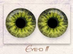 Eye-d 11